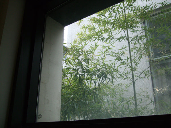 sold out [ccd相機][只此一部] FujiFilm FinePix F50 fd