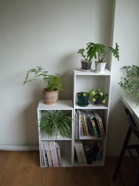 sold out [ccd相機][只此一部] FujiFilm FinePix F50 fd