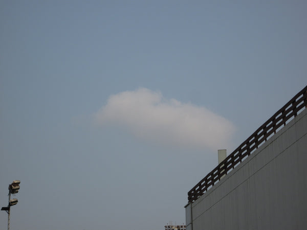 sold out [ccd相機][只此一部] Canon IXUS 980 IS