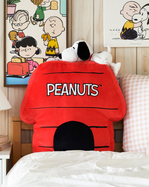 [Peanuts] Snoopy House Cushion