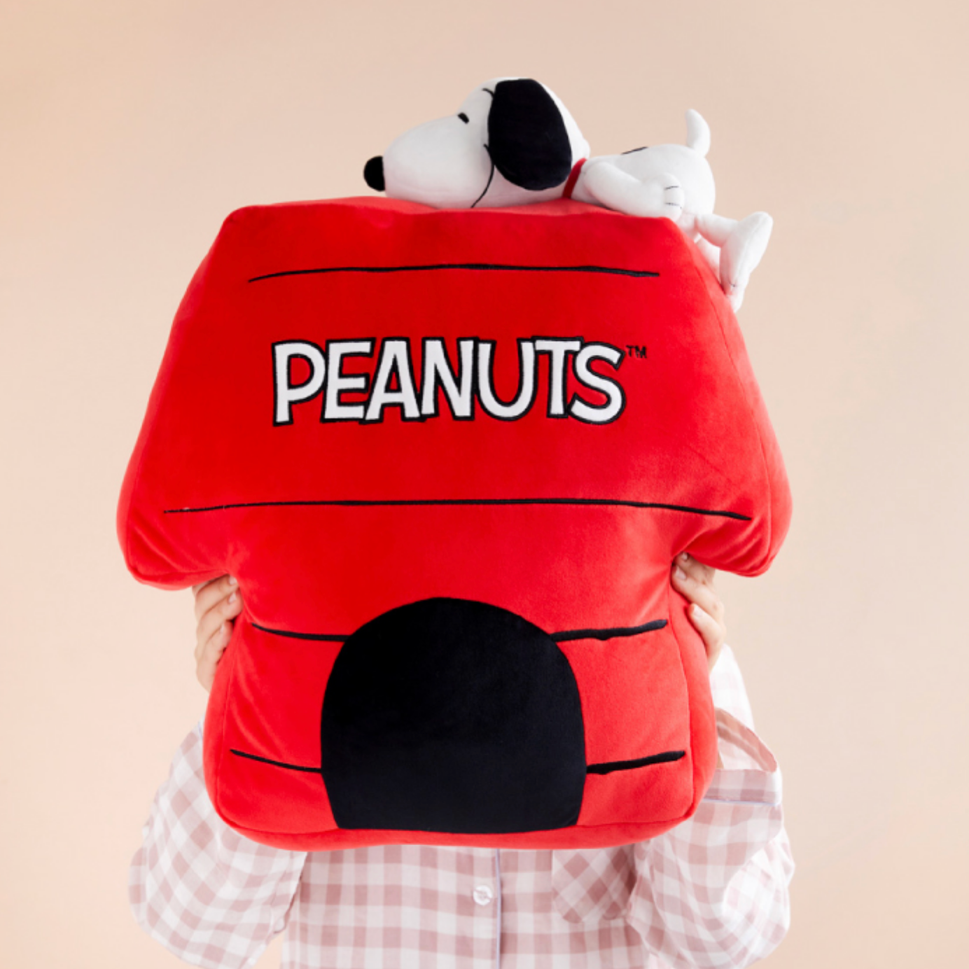 [Peanuts] Snoopy House Cushion