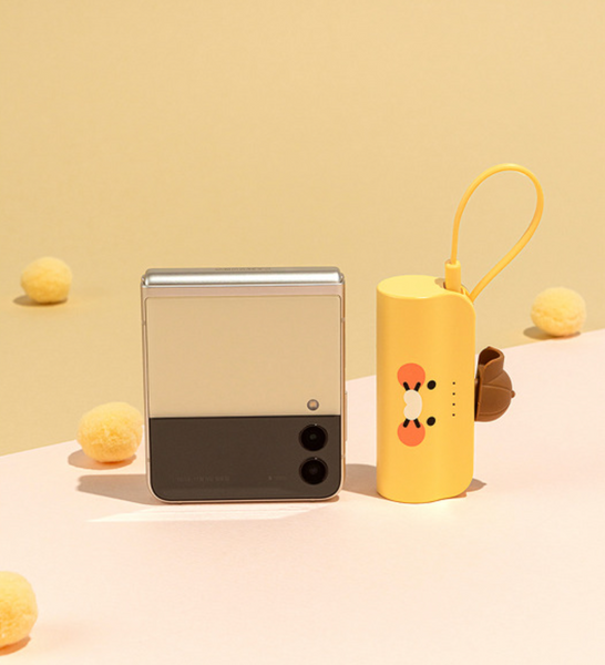 [Kakao Friends] Mini Power Bank 5000mAh