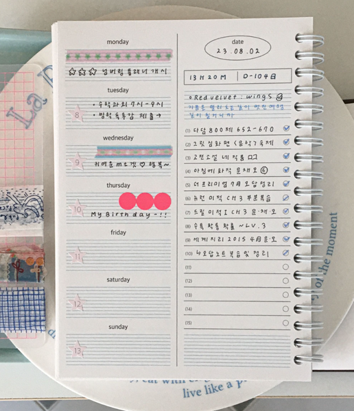 [TRUST MY VIBE] Numbering 6 Month Planner (Spring)