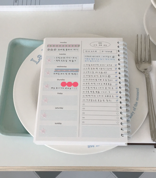 [TRUST MY VIBE] Numbering 6 Month Planner (Spring)