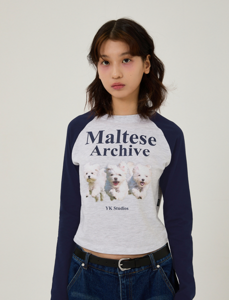 [Wai Kei] Maltese Archive Raglan Long Sleeve T-Shirt Melange White