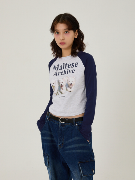 [Wai Kei] Maltese Archive Raglan Long Sleeve T-Shirt Melange White