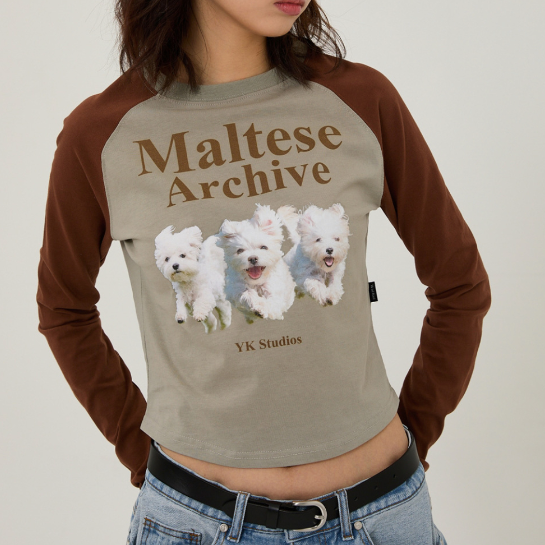 [Wai Kei] Maltese Archive Raglan Long Sleeve T-Shirt Mint