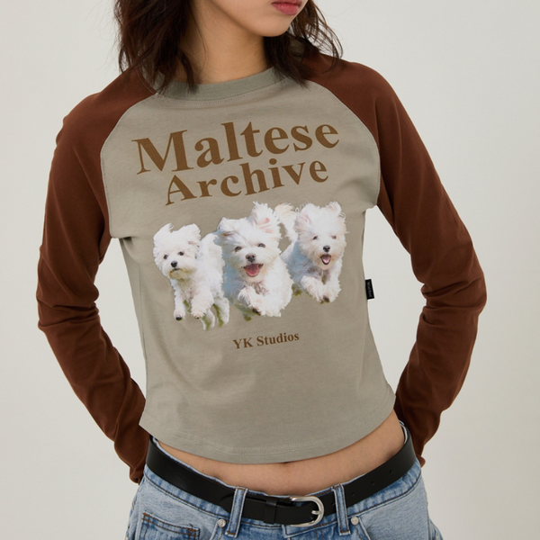 [Wai Kei] Maltese Archive Raglan Long Sleeve T-Shirt Mint