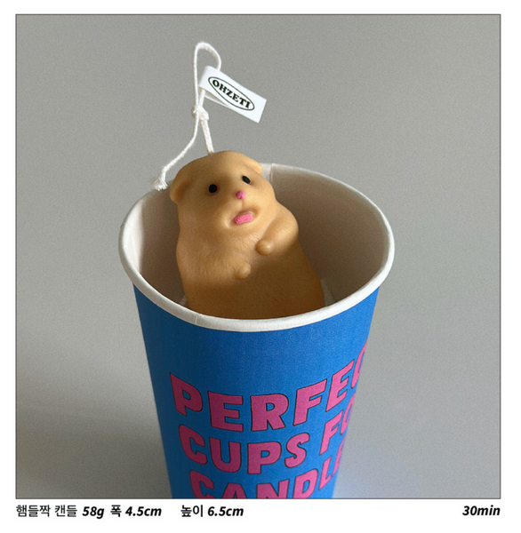 [OHZETI] [FOREVER YOUNG] Hamster Candle ver2