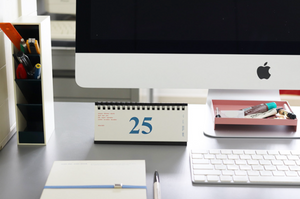 [SOME MOOD DESIGN] 2025 Signature Desk Calendar