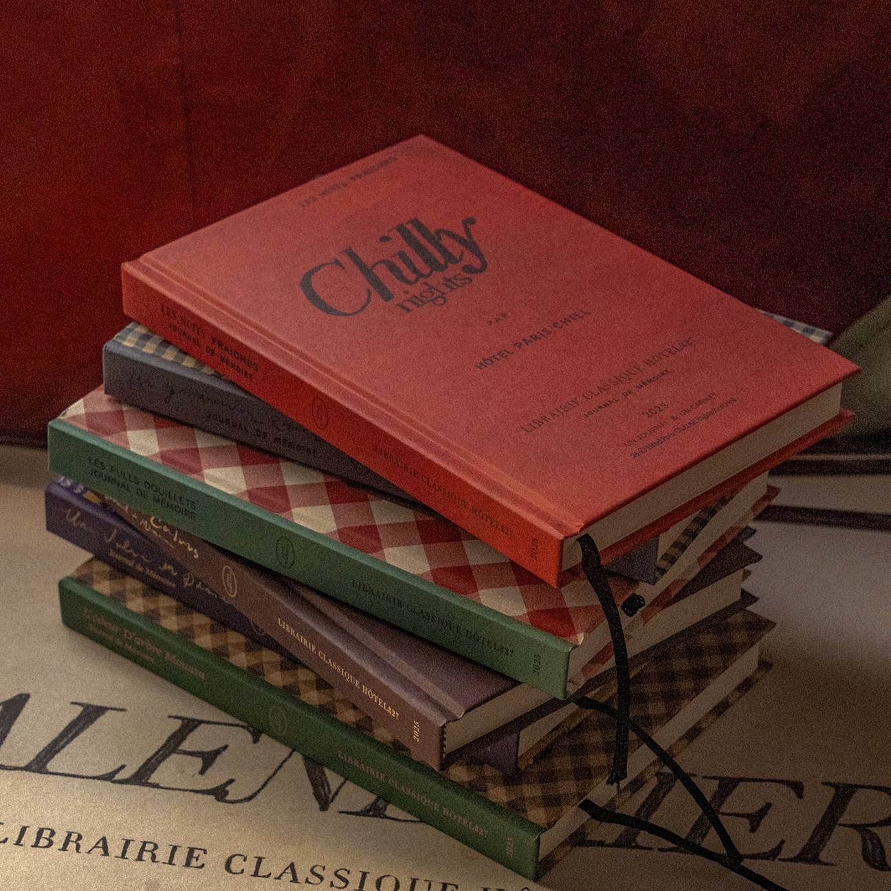 [HOTEL PARIS CHILL] 25 Old Book Journal (Chilli)