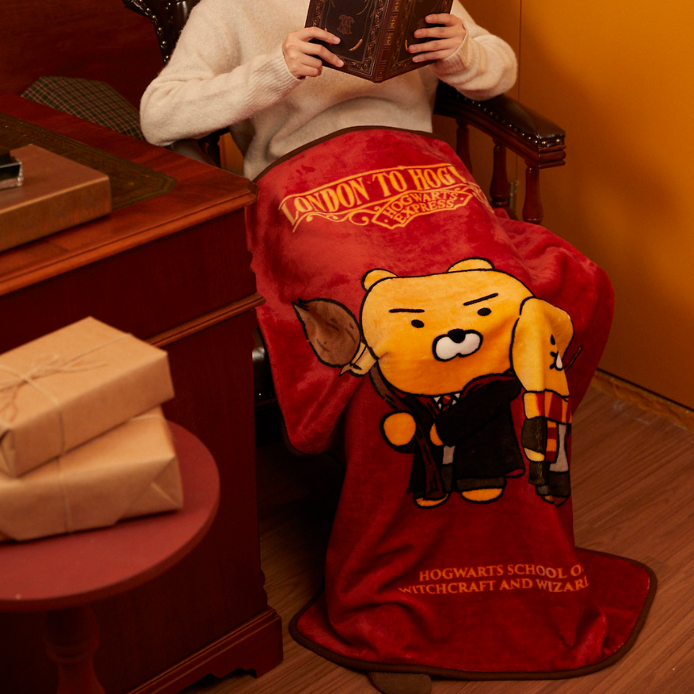 [Harry Potter x Kakao Friends] Blanket