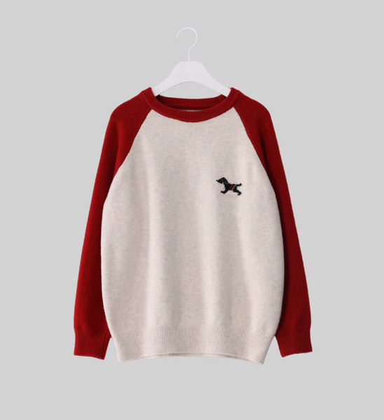 [FRENCHCHIC] Colour Raglan Knitwear