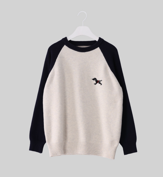 [FRENCHCHIC] Colour Raglan Knitwear