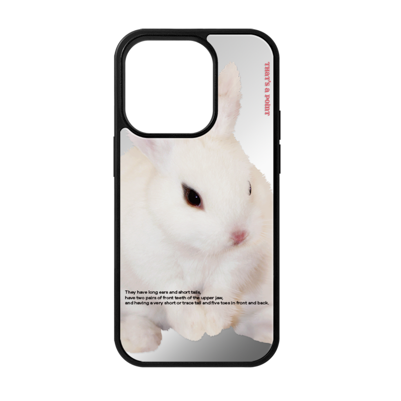 [That's a point] Rabbit Mirror Case (MagSafe)