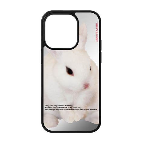 [That's a point] Rabbit Mirror Case (MagSafe)