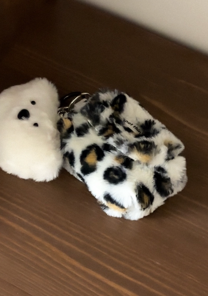 [NOT THINK] Leopard Airpods Pouch Case