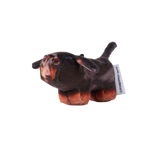 [SOFT THUMBNAIL] Duke, Dachshund Keyring