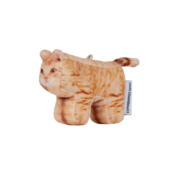 [SOFT THUMBNAIL] Cheese, Domestic Shorthair Keyring