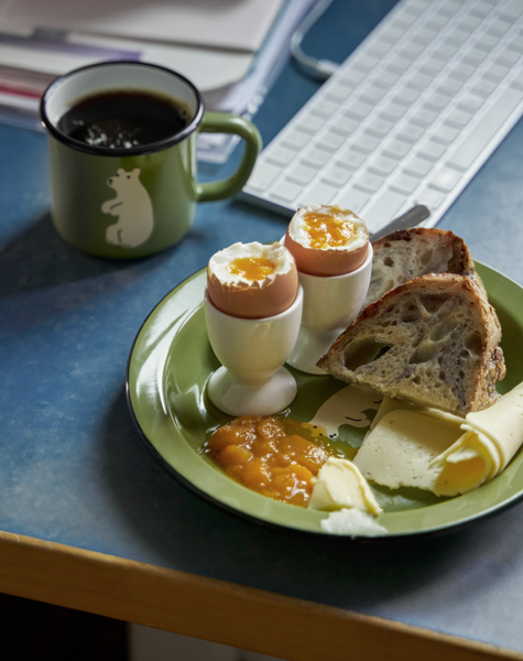 [WARMGREYTAIL] Enamel Mug & Plate Set (3Colours)