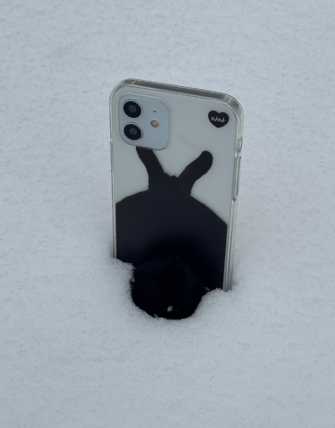 [PoLPoL] Black Rabbit Phone Case