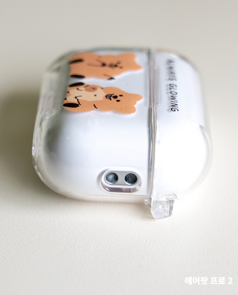 [YOUNG FOREST] 글로잉 꽃카삐 Airpods Case