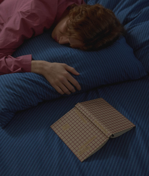 [HOTEL PARIS CHILL] 26 Old Book Journal (Redwood)