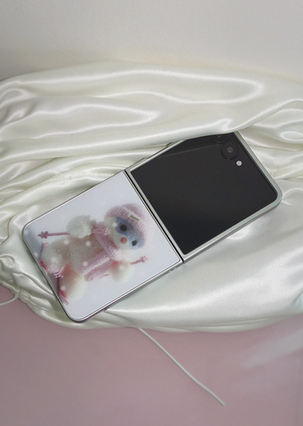 [StuPhy] SkiBoo Silver Bumper Case