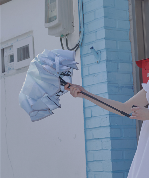 [Rockfish Weatherwear] COLOR BLOCK UMBRELLA SHORT (5Colours)