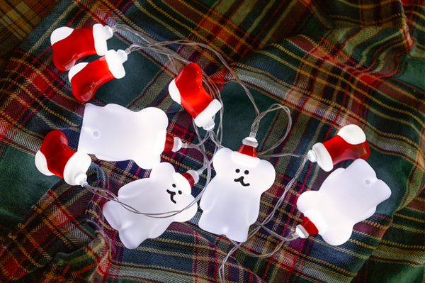 [Dinotaeng] BOBO Holiday Bulb