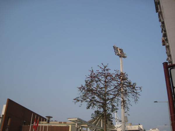 sold out [ccd相機][只此一部] Canon IXUS 980 IS