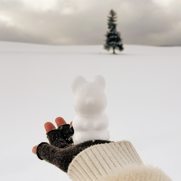 [Dinotaeng] Quokka Snowball Maker