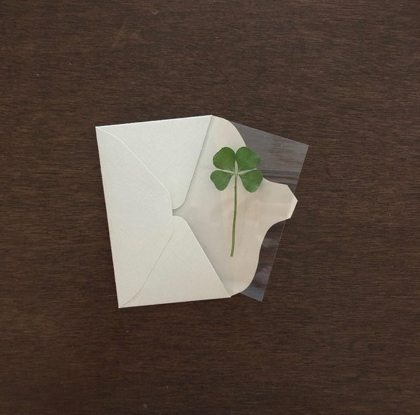 [期間限定] 四葉草幸運卡 Four-leaf Clover Card 🍀