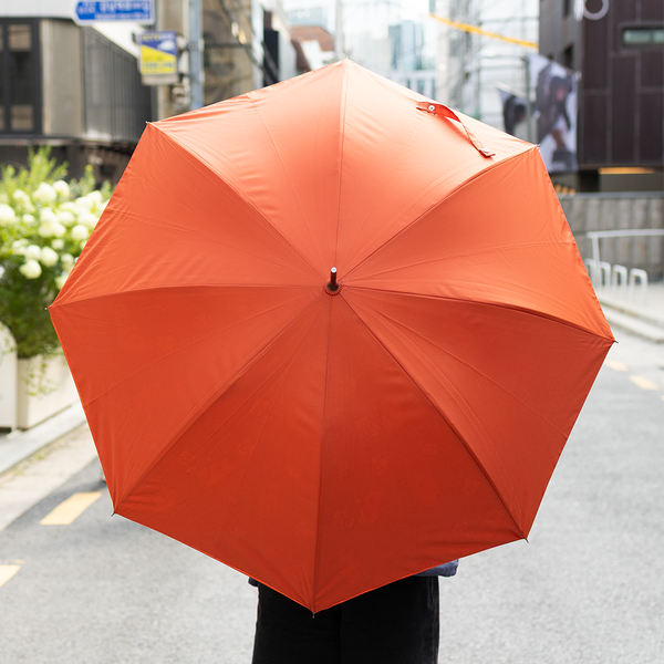 [Dinotaeng] QUOKKA & BOBO STICK UMBRELLA