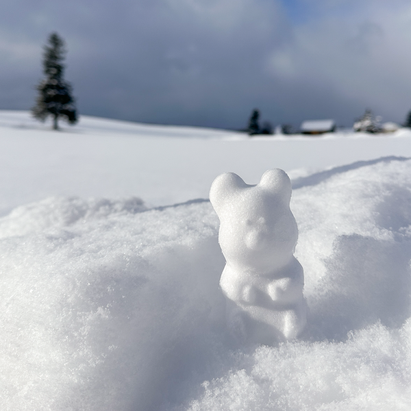 [Dinotaeng] Quokka Snowball Maker