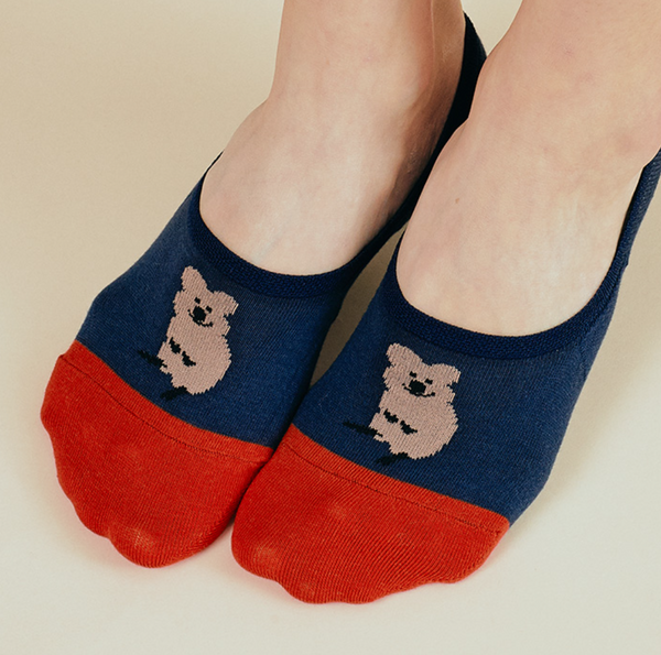 [Sockstaz X Dinotaeng] Quokka Invisible Socks