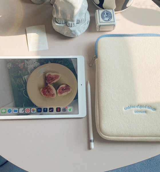 [sezment] Laptop Case/ Ipad Pouch #Skyblue