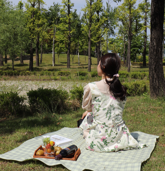 Classic Check Waterproof Linen Picnic Mat