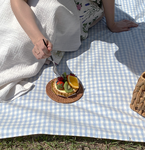 Pastel Check Waterproof Linen Picnic Mat