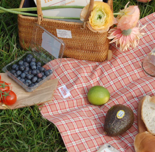 [MADE FANNIE] BUTTER Blossom Check Picnic Mat