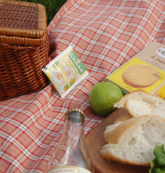 [MADE FANNIE] BUTTER Blossom Check Picnic Mat