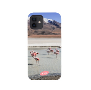 [KiCK] Flamingo Space Hard Case