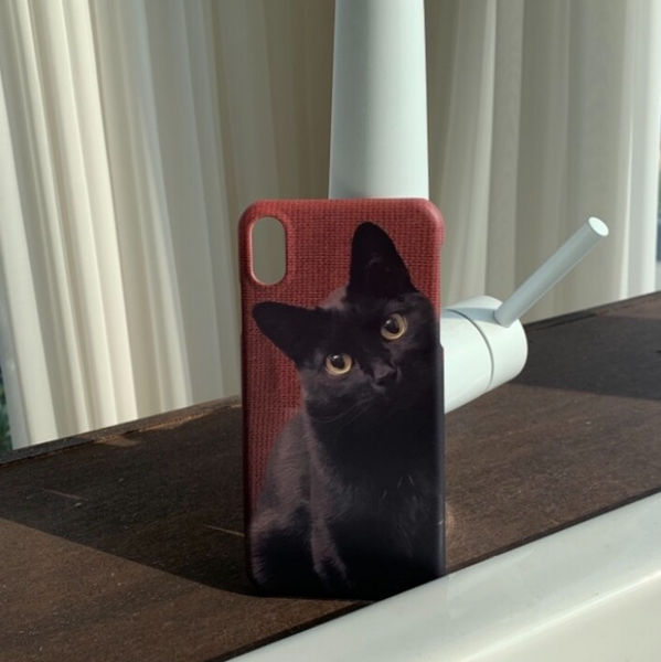 [KiCK] Black Cat Hard Case