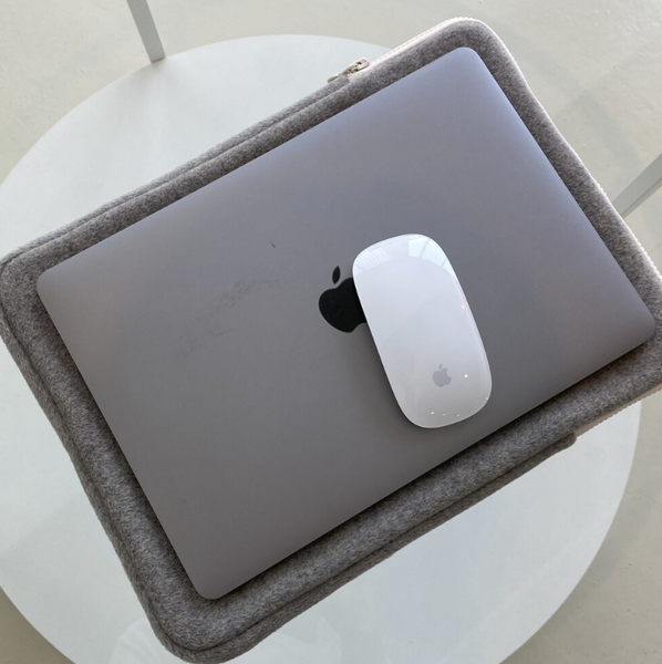 [skyfolio] Dark Cloud iPad/ Laptop Pouch (Grey)