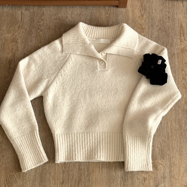 [ellpe][another leads] Benjamin Collar Knitwear - Ivory