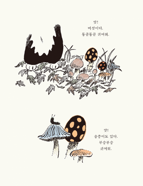 [HUGINN AND MUNINN] 모이야기 Mo Story